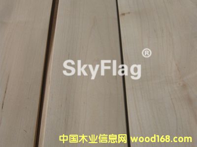 楓木的詳細(xì)介紹