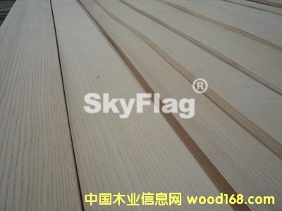 白栓的詳細(xì)介紹