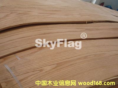 紅橡的詳細(xì)介紹