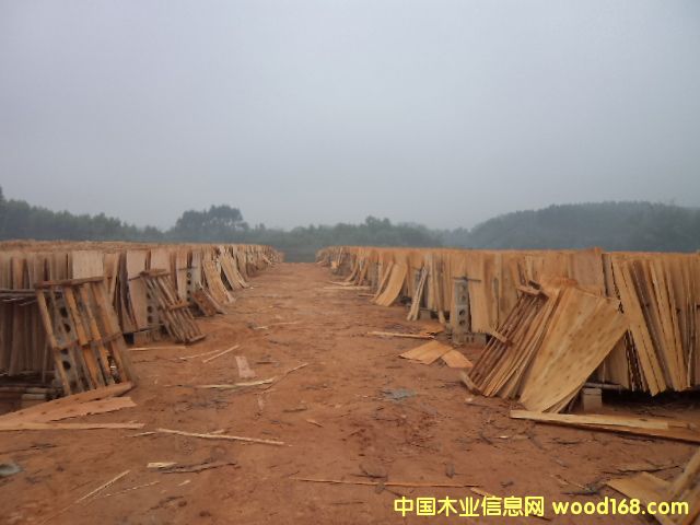 桉樹單板的詳細(xì)介紹