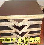 �����谷��ľ�����Ԕ����B