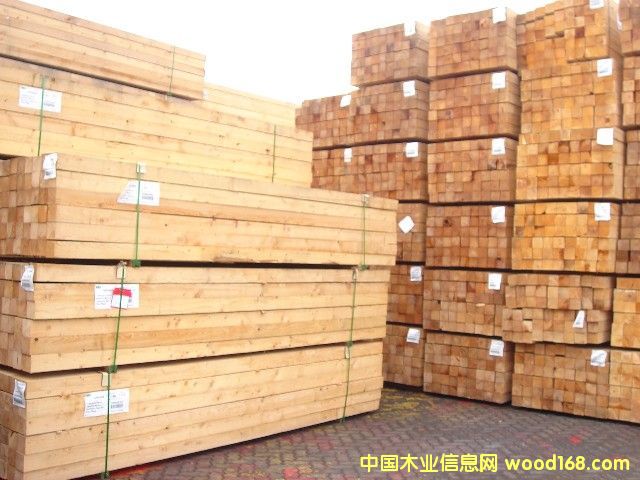 ���ô��Fɼ