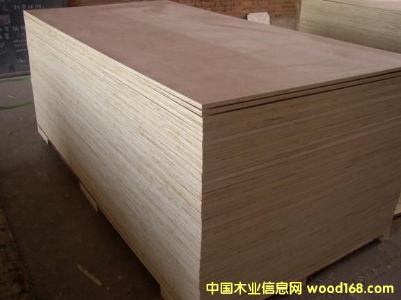 ��ľ�z�ϰ��Ԕ��(x��)��B