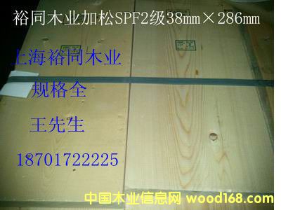 加松的詳細(xì)介紹