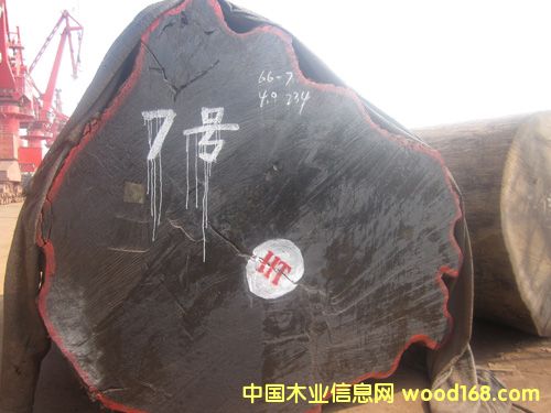 �ͻ���Ԕ����B