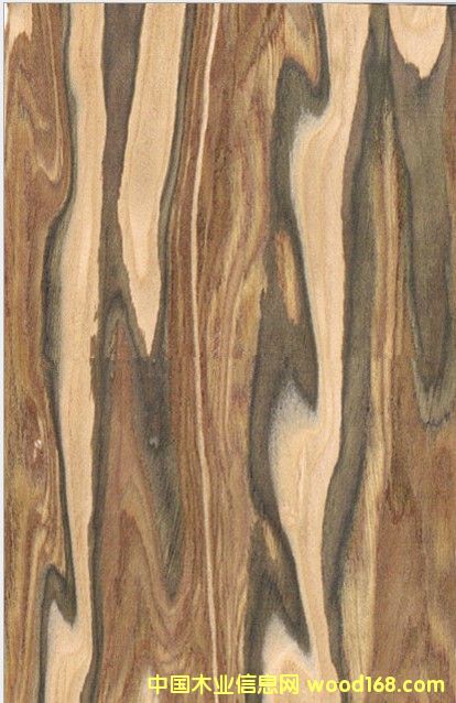 �O��ľ�Ƽ�ľƤ��Ԕ��(x��)��B