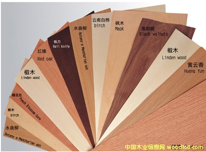 �ߙn��ȻľƤ��߅�l��Ԕ����B