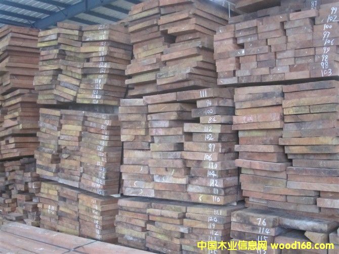 巴花小板的詳細(xì)介紹