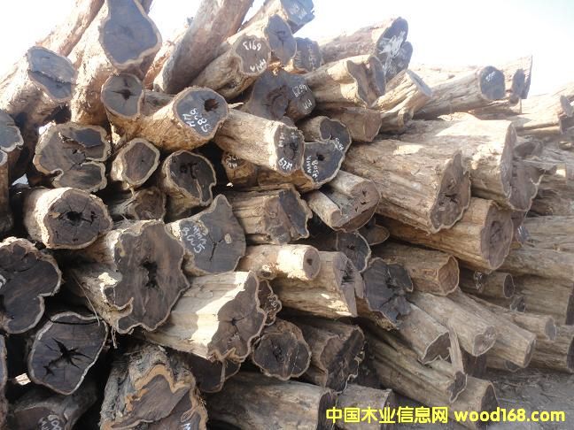 烏木的詳細(xì)介紹