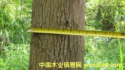 ����Ԕ��(x��)��B