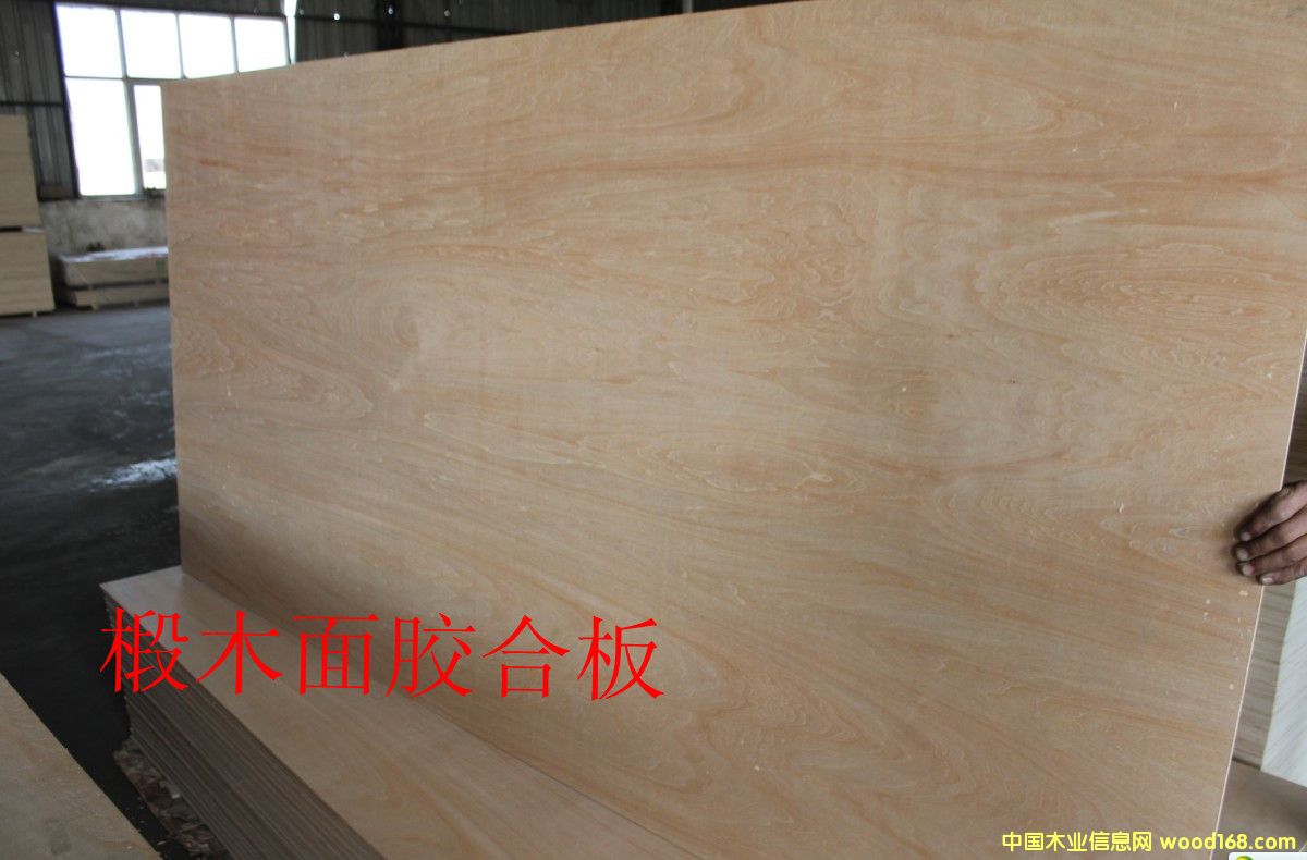 �ľ����Ӱ��Ԕ��(x��)��B