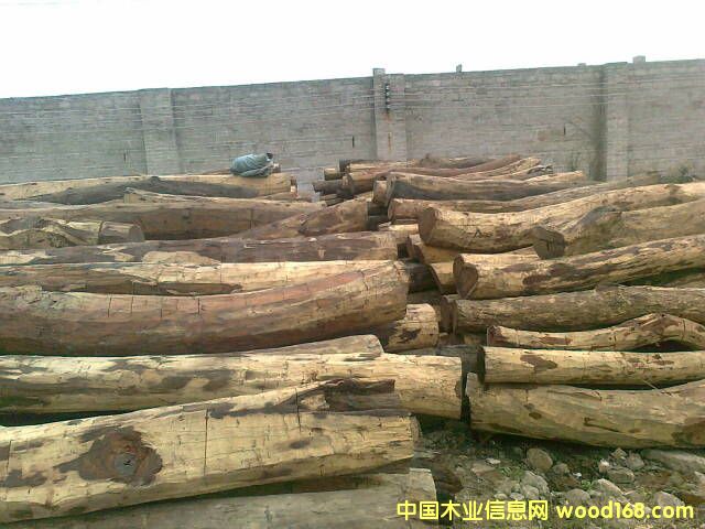 �ϓ��t��֦��Ԕ��(x��)��B