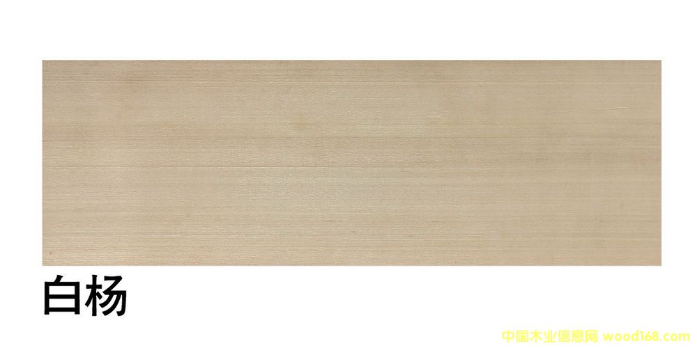 �����M(j��n)�ڰח��ĵ�Ԕ��(x��)��B