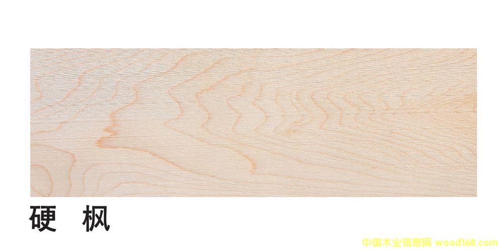 �����M(j��n)��Ӳ�����