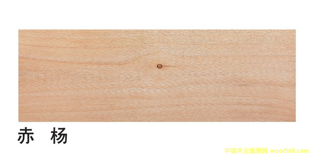 �����M(j��n)�ڳ��P(y��ng)��ĵ�Ԕ��(x��)��B