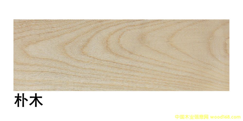 �����M(j��n)�ژ�ľ��ĵ�Ԕ��(x��)��B