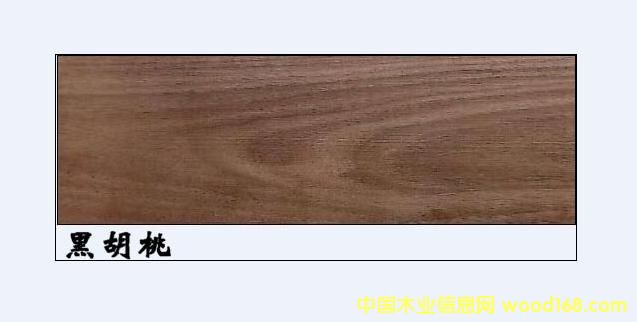 �����M(j��n)�ںں��Ұ��