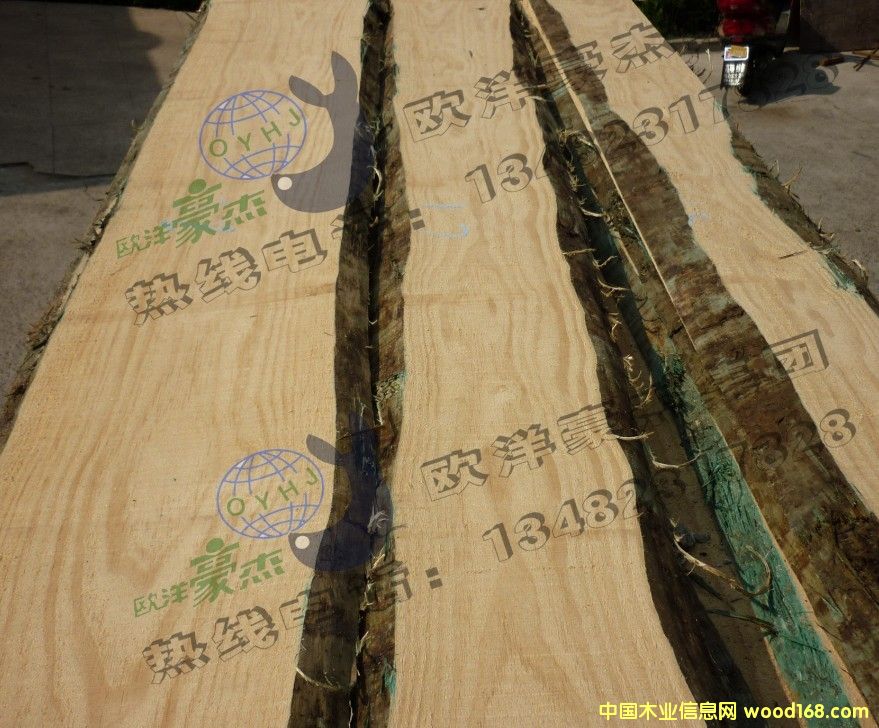 [��] ݗ����ȫ�o��(ji��)�� FSC�C�� �ٷְٟo��(ji��) �]�{(l��n)׃ A��ȫ���