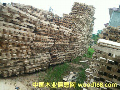 桐木鋸材的詳細(xì)介紹