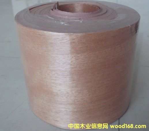 �t���ҟo������Ԕ��(x��)��B