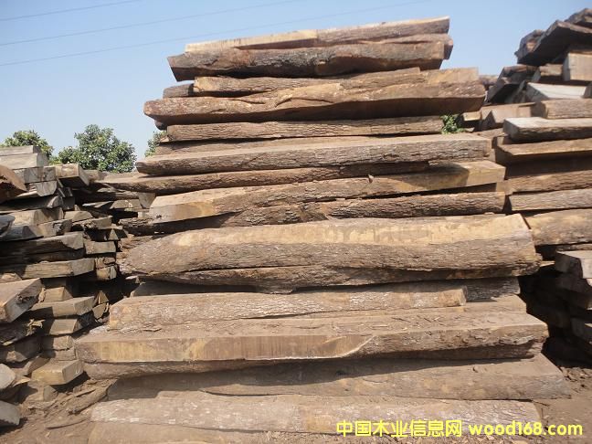 Ƥ�Ұ�ĵ�Ԕ����B