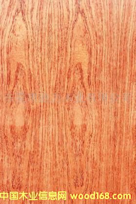 ����ɽ�y��Ԕ��(x��)��B