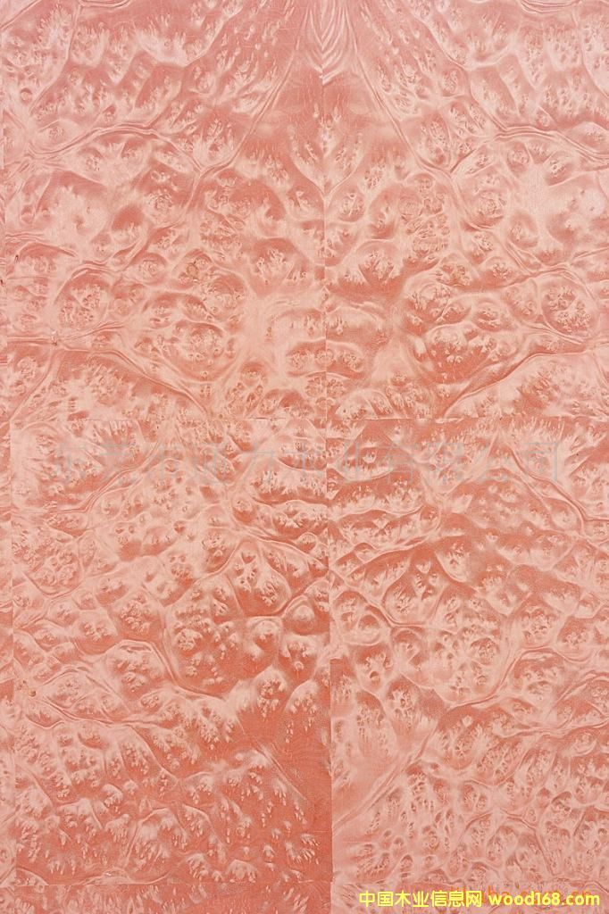 ����(d��ng)�Ș�(sh��)���Ԕ��(x��)��B