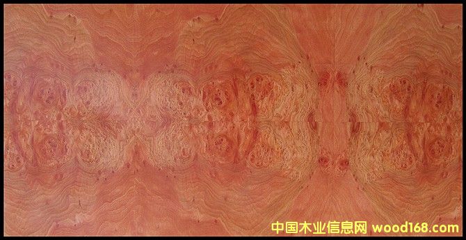 ��˹��(sh��)���Ԕ��(x��)��B