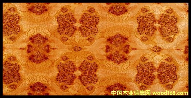 ��ľ��(sh��)���Ԕ��(x��)��B