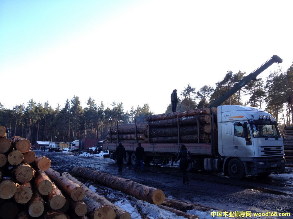 �����ɰ�ĵ�Ԕ��(x��)��B