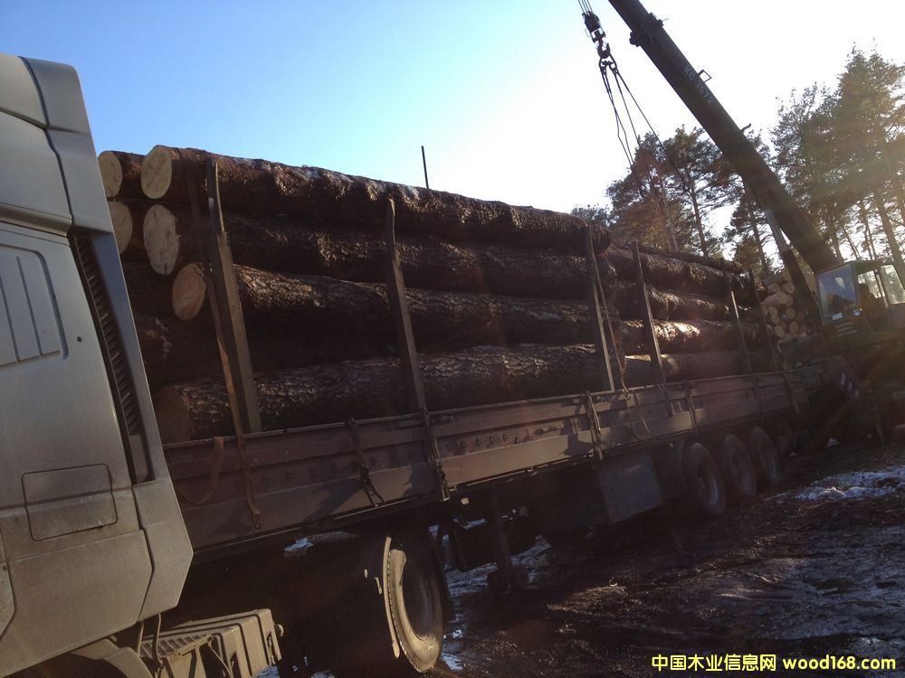 �����ɰ�ĵ�Ԕ��(x��)��B