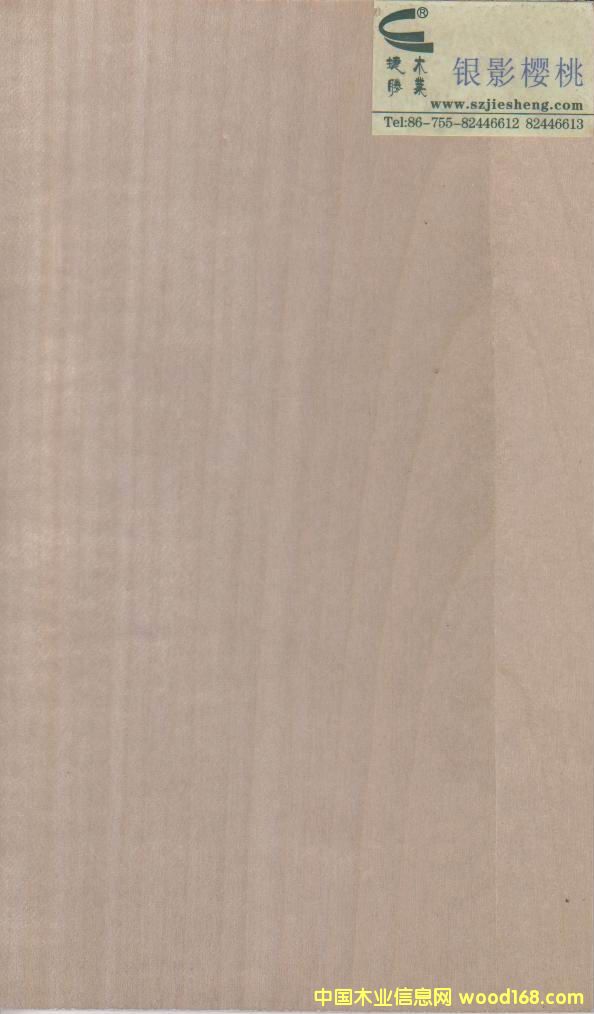 �yӰ���ҵ�Ԕ��(x��)��B