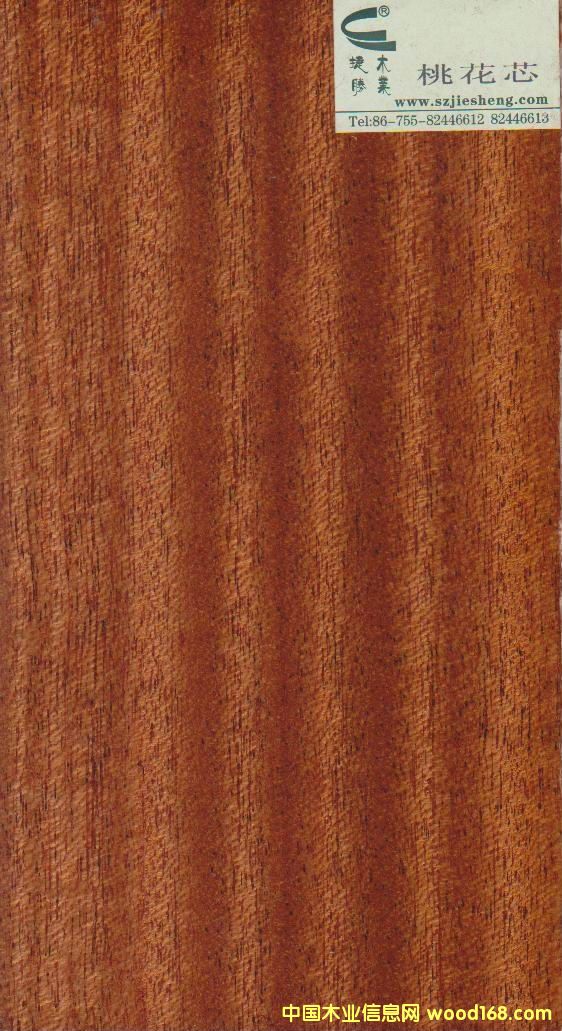 �һ�о��Ԕ��(x��)��B