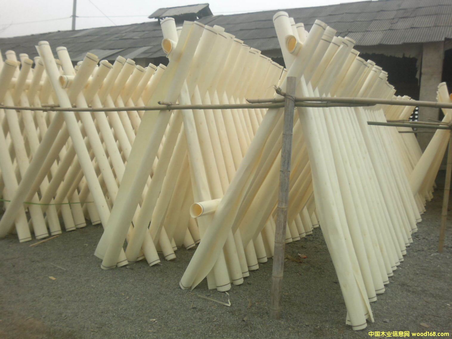 ��ľƯ����Ƥ��Ԕ��(x��)��B