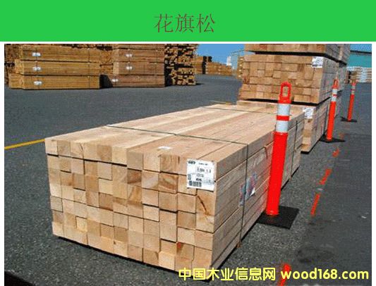 ���ô��Fɼ��Ԕ��(x��)��B