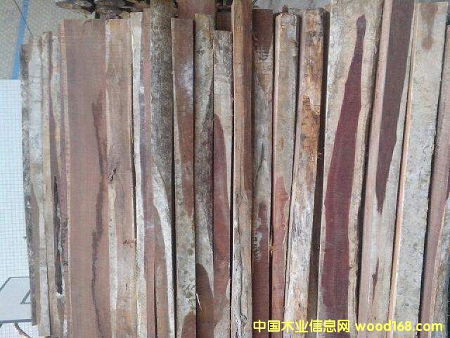 �t��֦��Ԕ����B