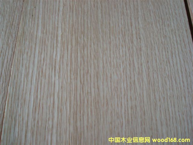 �t���Ԕ��(x��)��B