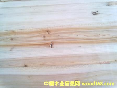 �߼������Ԕ����B