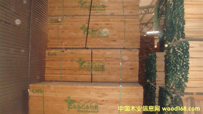 ��������ľ��Ԕ����B