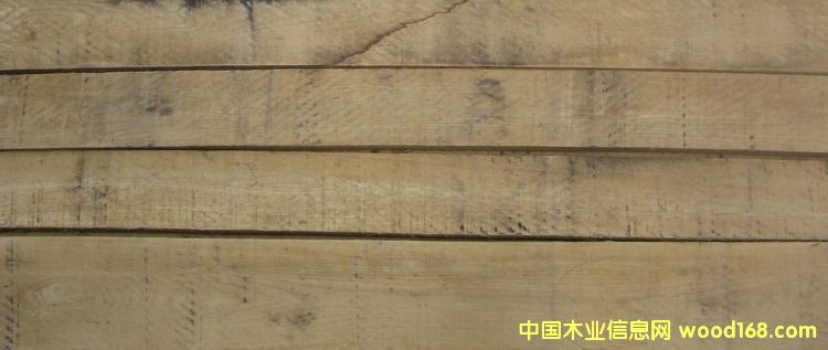 ��������ľ��Ԕ����B