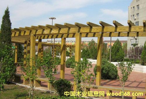 ����ľ��Ԕ��(x��)��B