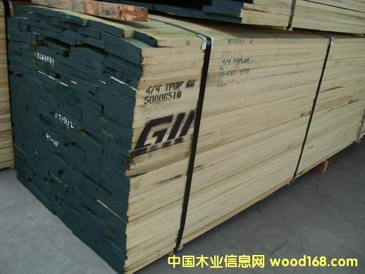 黃楊的詳細(xì)介紹