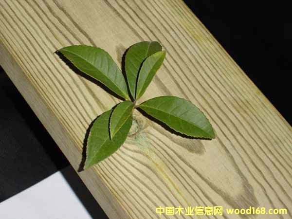 �����ɵ�Ԕ��(x��)��B