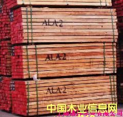 柳桉的詳細(xì)介紹