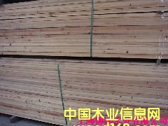 �tѩ�Ƀr(ji��)���Ԕ��(x��)��B