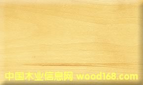 һ������ľ��Ԕ��(x��)��B