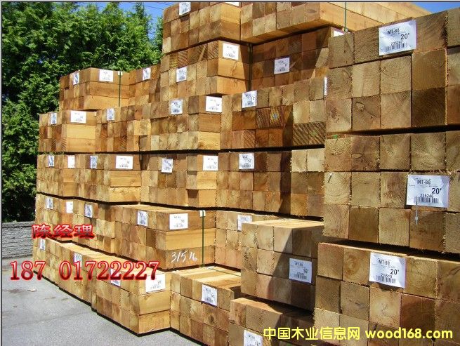 �tѩ�ɰ�ķ�ľ��Ԕ����B