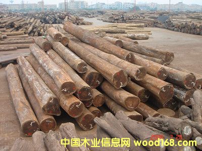 ������ľ��Ԕ��(x��)��B