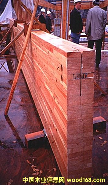 �������z������Ԕ����B