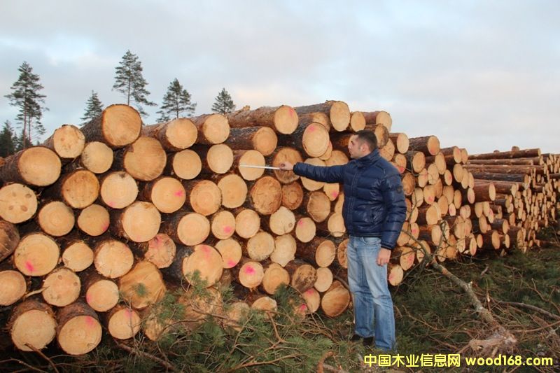 �����ɵ�Ԕ����B